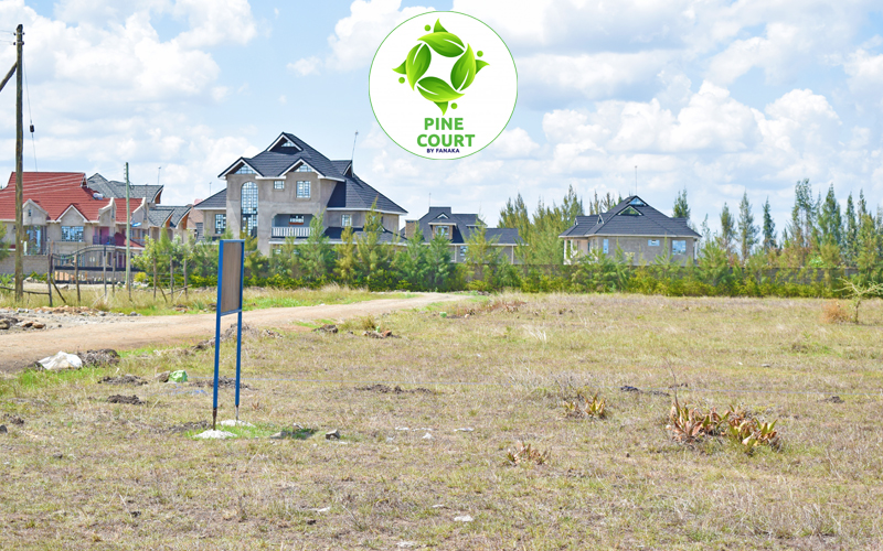 Pine Court - Ruiru — gallery